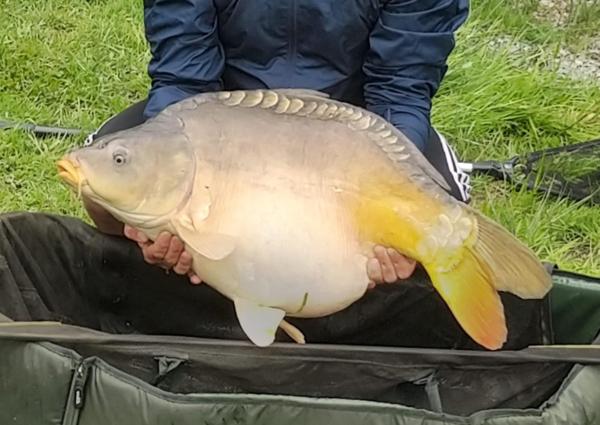 Etang - Carpodrome à Bais