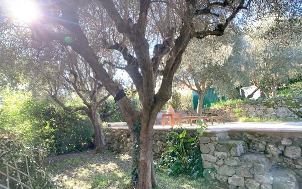 Maison à vendre    8 pièces • 261 m2 Peymeinade