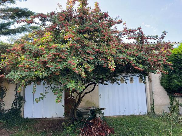 Maison Saint Maixent L Ecole 6 pièce(s) 131 m2