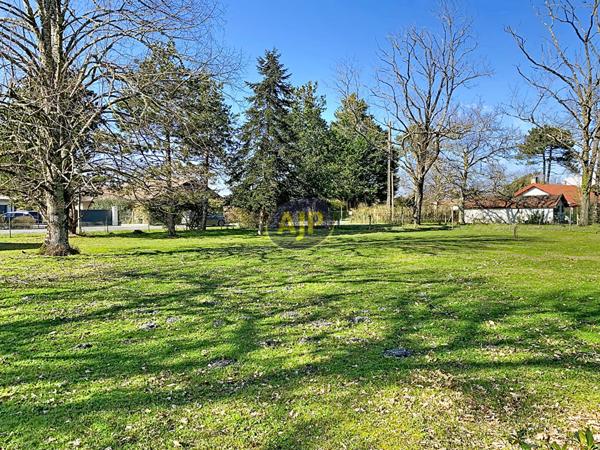 Vente terrain Hourtin : 150 250 € - AJP Hourtin Immobilier