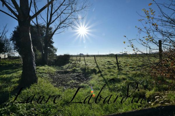 Domaine à vendre 22 pièces SAINTE BAZEILLE (47)