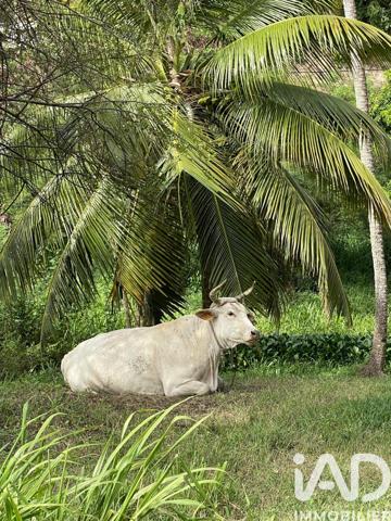Appartement à vendre 2 pièces 35 m² Sainte-Anne