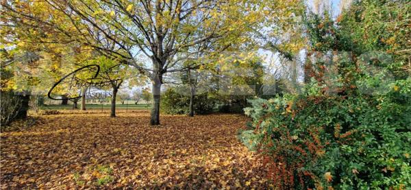 Maison Quartier Sapiac – 90 m² habitables + 90 m² en RDC sur 2000 m² de terrain arboré