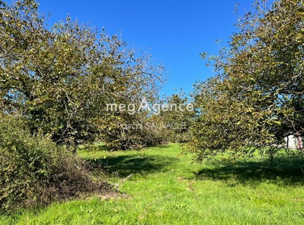 Terrain à CHATEAU-L'EVEQUE, 24460 - 890m²