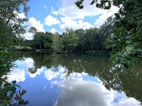 Maison à vendre à Guer dans le Morbihan (56380), ref : VM3284-56044