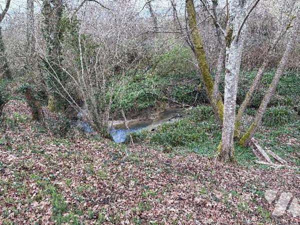 Magnifique réalisation à finir de s'approprier ! Plain-pied, quartier prisé, jardin arboré !