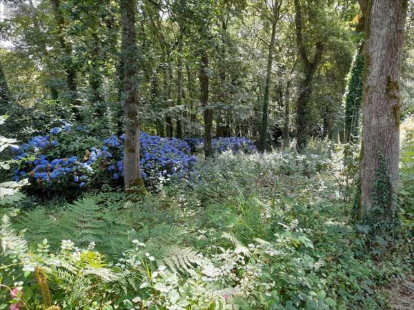 Maison à vendre à Plouzané dans le Finistère (29280), ref : 29135-1057861