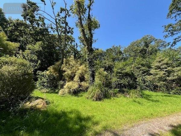 Maison à vendre à Plouzané dans le Finistère (29280), ref : 29135-1057861