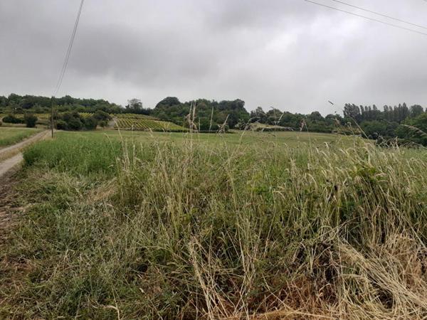 Terrain La Fleche 11500 m2