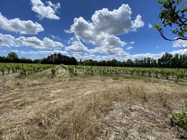 Terrain de 30 000 m²