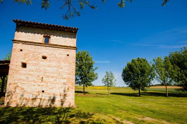 Vente Maison 20 pièces 557 m2 à Salvagnac
