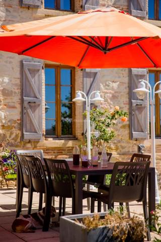 Vente Maison 20 pièces 557 m2 à Salvagnac