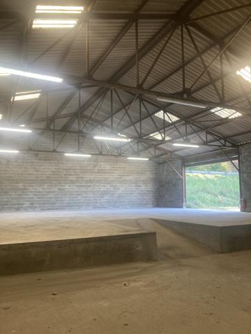 Local activité-entreprôt-dépôt-stockage