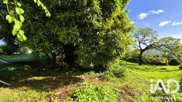 Terrain à vendre 507 m² Schœlcher