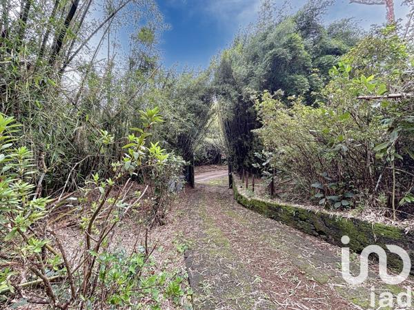 Domaine 5 pièces de 160 m² à LE BRÛLE (97400)