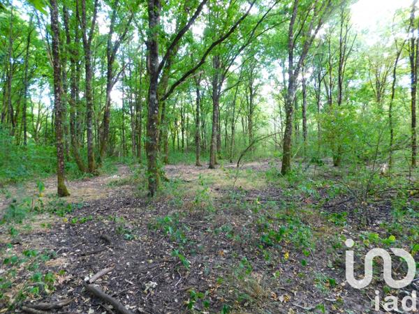 Terrain à vendre 6 210 m² Salbris