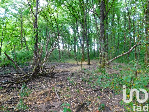 Terrain à vendre 6 210 m² Salbris