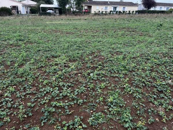 Terrain à vendre |  Tesson |  746 m²