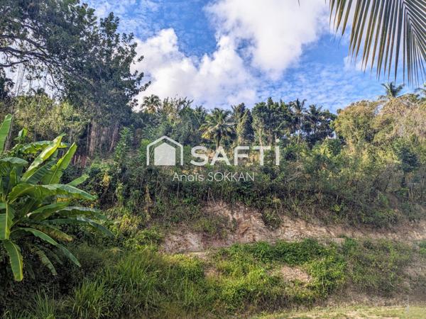 Grand terrain avec vue sur mer et montagne