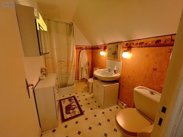 Maison à vendre à Saint-Aignan dans le Loir-et-Cher (41110), ref : 41033-1676