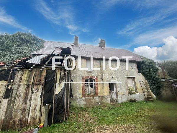 A VENDRE Terrain constructible de 3640 m² avec maisonnette.