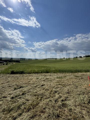 À vendre – Terrain à bâtir de 2432 m² avec vue dominante – Corbarieu (82)