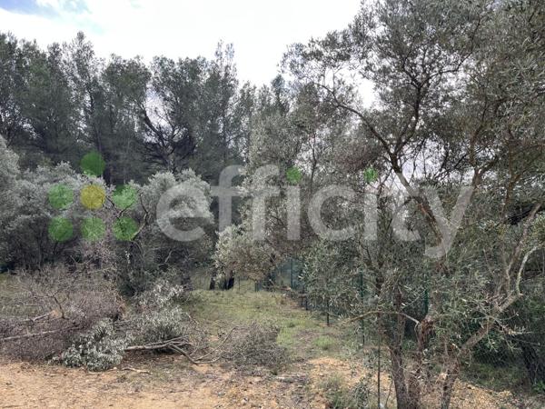 Terrain - 1060 m² Bien prestige