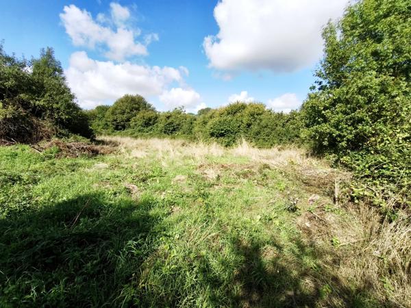 Charmante maison semi-mitoyenne avec granges, verger et plus de 5 000 m² de terrain