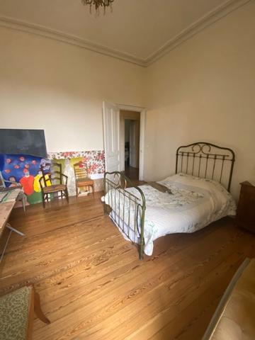 Carcassonne face au Canal du midi et vue sur la Cité, immeuble locatif de caractère Carcassonne (11000)