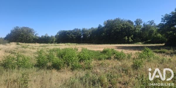 Terrain à vendre 5 407 m² Ouzouer-sur-Trézée