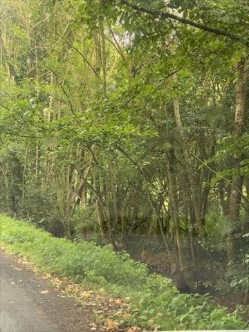 Terrain de loisirs - Bois - Etang à vendre à La Boussac en Ille-et-Vilaine (35120), ref : 35130-1087048