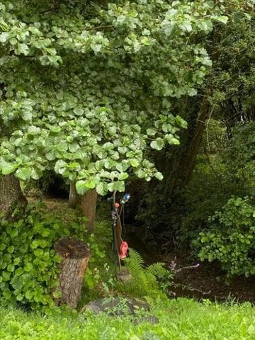 Terrain de loisirs - Bois - Etang à vendre à La Boussac en Ille-et-Vilaine (35120), ref : 35130-1087048