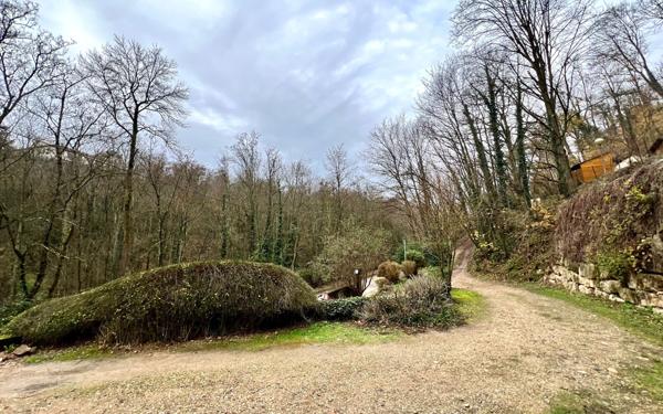 Appartement à vendre    2 pièces • 23 m2 Saint-Didier-au-Mont-d'Or