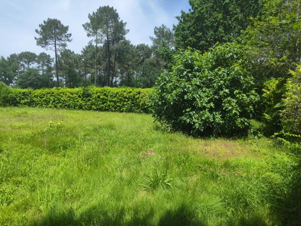 Le Porge (33680) Terrain constructible 465m²