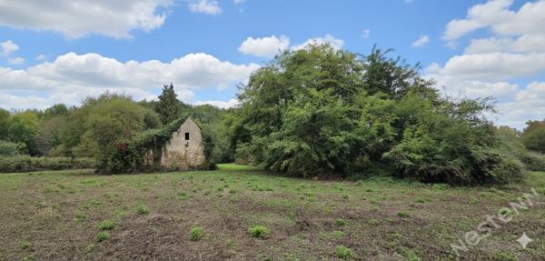 Bâtisses en pierre à réhabiliter avec terrain de 6 hectares ? Proche centre-ville de Bergerac
