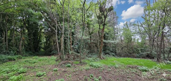 Bâtisses en pierre à réhabiliter avec terrain de 6 hectares ? Proche centre-ville de Bergerac