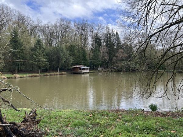 Vente / Terrain de loisirs