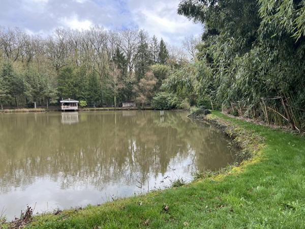 Vente / Terrain de loisirs