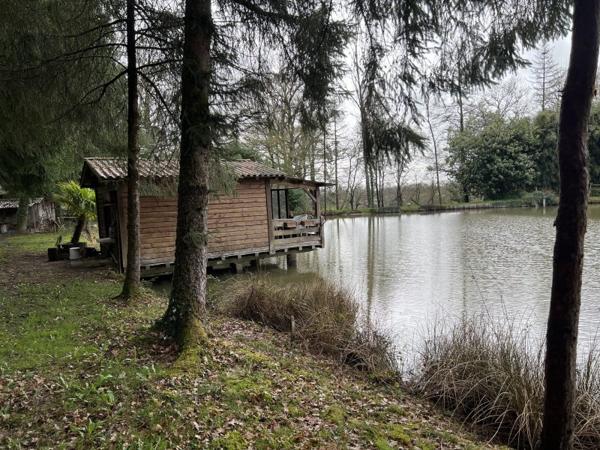 Vente / Terrain de loisirs