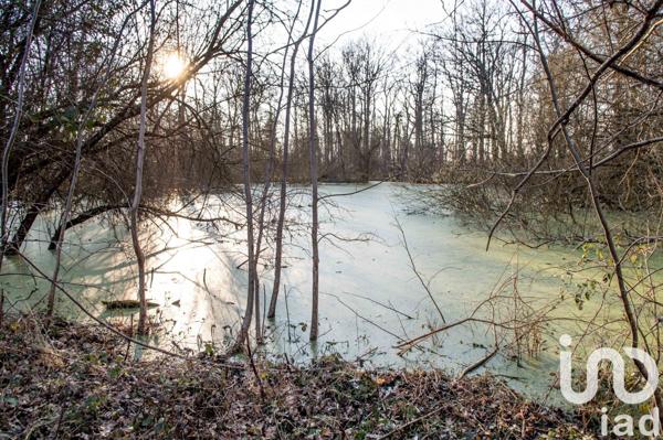 Maison 7 pièces de 160 m² à Solterre (45700)