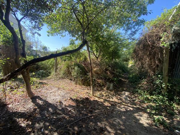 Morigny-Champigny (91150) Nouveauté centre ville Morigny champigny maison ancienne à renover avec grange et terrain de 1260 m2