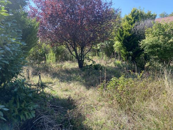 Morigny-Champigny (91150) Nouveauté centre ville Morigny champigny maison ancienne à renover avec grange et terrain de 1260 m2