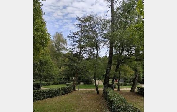 Vente Maison avec Camping Saint-etienne-vallee-francaise   