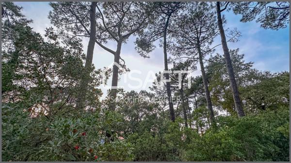 Quartier Abatilles/ Moulleau