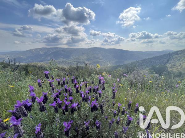 Terrain à vendre 39 120 m² Le Lavandou