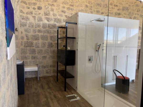 Ruine de Château Médiéval Transformée en Loft Lumineux avec Maison d'Amis et Piscine