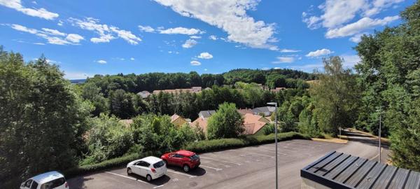 À vendre Appartement 4 pièces 73.69 m² - Saint-dié-des-vosges 88100