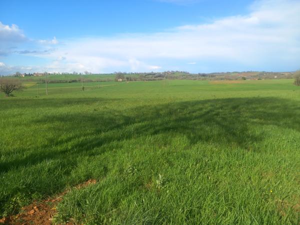 Parisot (82160) Grand terrain viabilisé