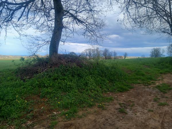 Parisot (82160) Grand terrain viabilisé