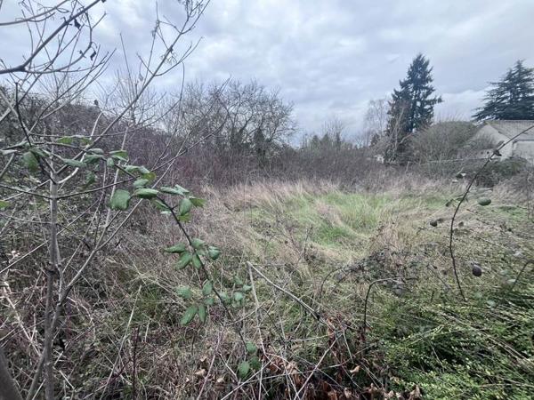 Terrain à vendre |  Saint-Avertin |  566 m²